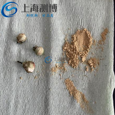 山茶花