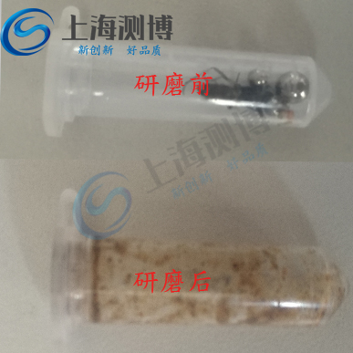 臭蟲(chóng)研磨提取核酸實(shí)驗(yàn)-多樣品組織研磨機(jī)